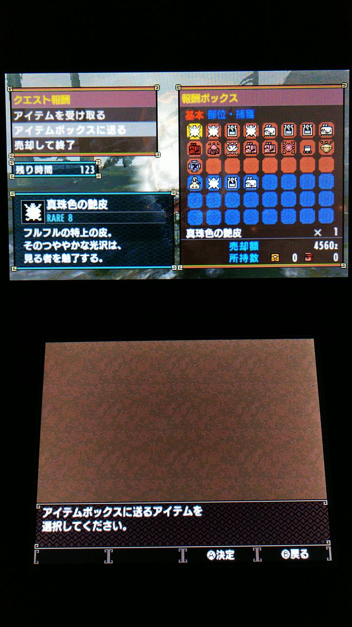 カンタロスの頭 Mhxx