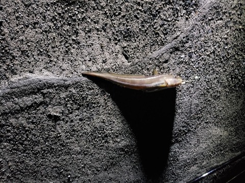 20191009_005618