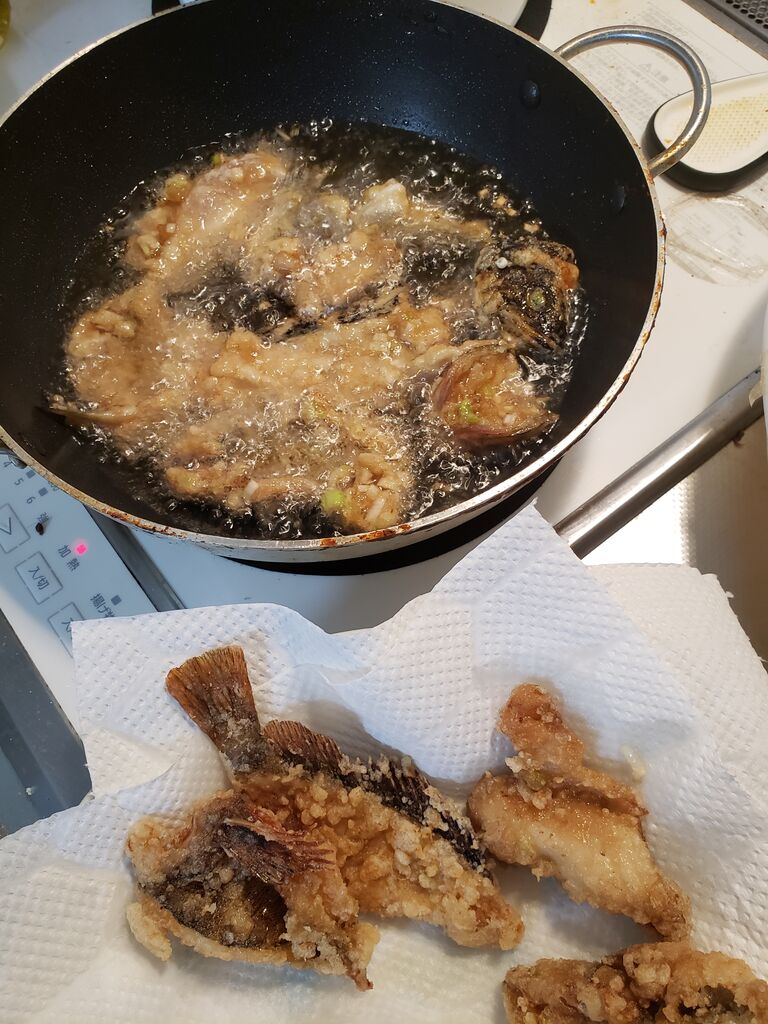 会計雑記 ようやくチヌ釣れました 裏ブログ Urataidou部