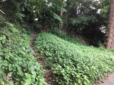 8385CDFE-A1F2-4D17-9596-2E36AFE6BF3F