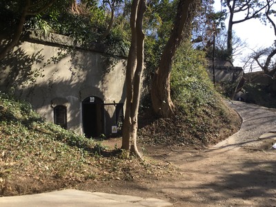 CAAC1488-CFF4-412D-A774-3DDD055738B3