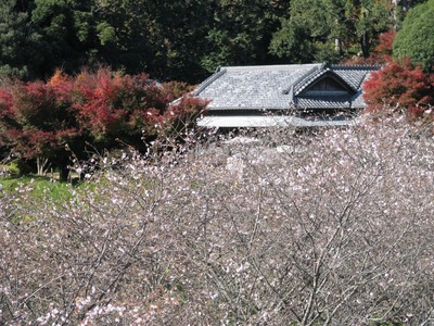 77E8128E-88FD-429F-99B2-06A79727212F