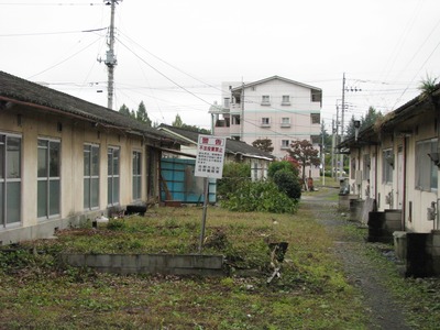 960D82C3-0E05-4CFE-A906-026CF9F77781