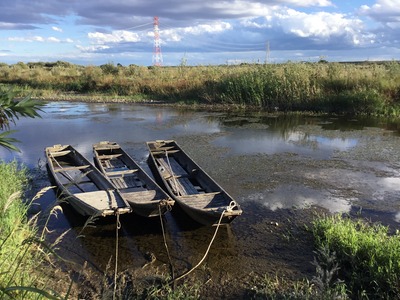 594AC5BF-7402-45FB-93EE-73BD2A4C8817