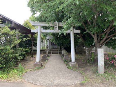 IMG_2155_Original