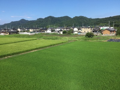 8643137B-2C95-472C-9F85-443424380C3A