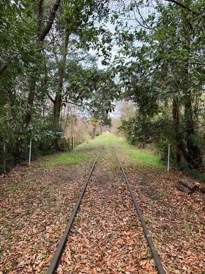 IMG_2024-04-06-200143