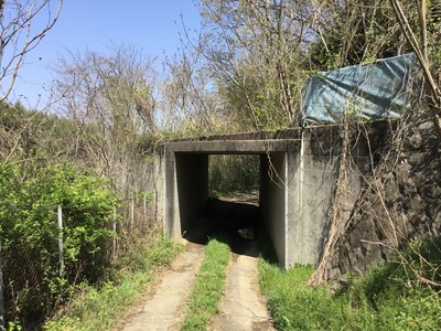 7A3BB8D8-01BE-4FCB-8954-7ED09BD63D58