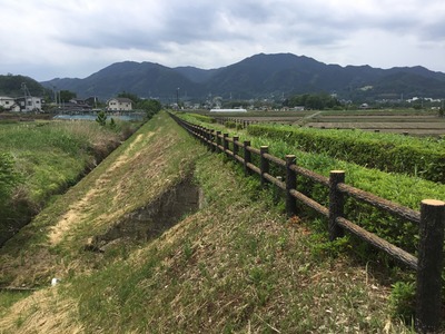 50873692-77E7-4D2C-9A9A-43468E1167F7