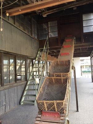 D9D7101E-6768-401B-8903-A81B0F713727