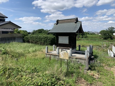 IMG_8711_Original