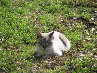 BCBE6894-E3E1-41F3-8A13-298F4E138E0C