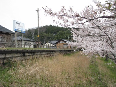 IMG_3156_Original