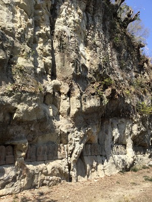 5FE3E59D-AA72-4341-8E24-9260CD25C181