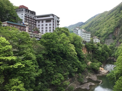 E2D52CF5-AB36-48D9-AB69-DACDB6AC8897