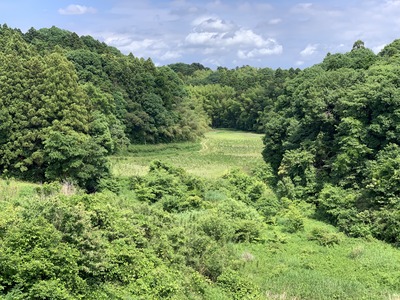 IMG_2122_Original
