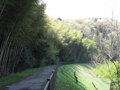 BBF46749-87F4-44FB-8BA9-0B560BF9E531