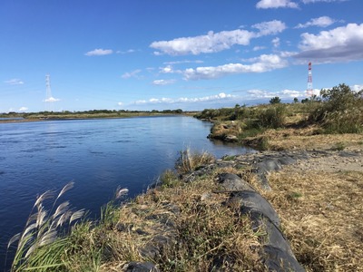 86A95562-D2F9-48D1-98F6-F32F09050F42