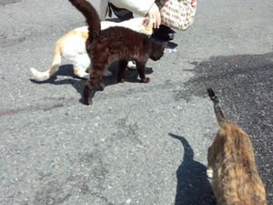 IMG_20140412_123110864