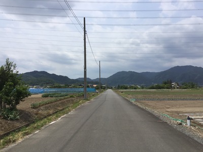 2E9BBFBA-0EFE-4F2E-A5CC-FDBC73B8B8A9