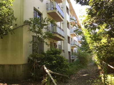 C478F2D7-76BD-414D-B447-5B4D8E31BAD5