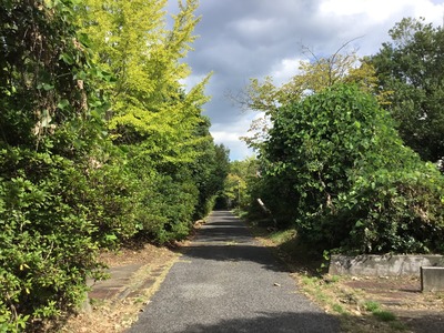 436AC100-179C-4B29-9565-70D8A7D10B6F