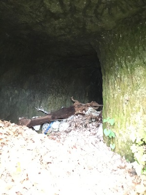 B67F2E1D-24AE-4069-9D53-79B3A7359F95