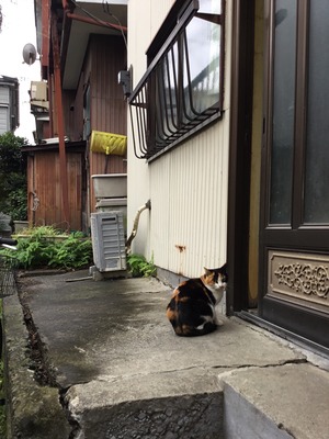 3EAE0B41-E600-443D-8BA0-631ED102DC65