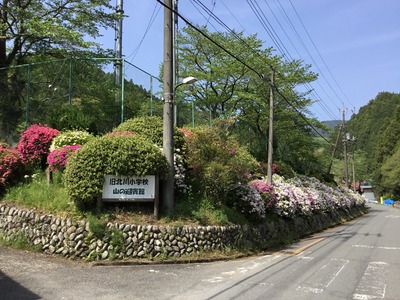 B7B67E4B-AEF8-478E-B7B0-2D7CF6FB1166