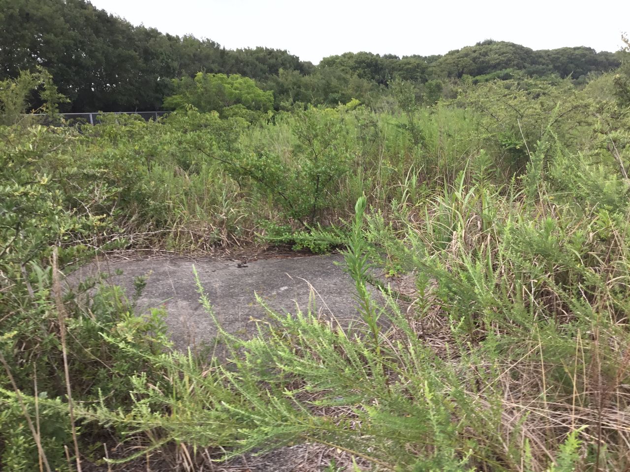 香取航空基地