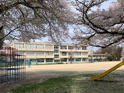 IMG_4747 Copy