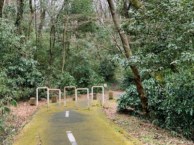 IMG_1181 のコピー