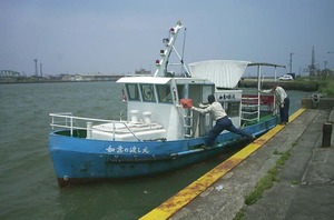 DCP_1499