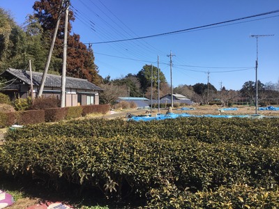 C7949CB9-E00C-41F4-922B-87B49E44422A