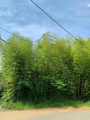 IMG_2141_Original