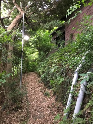 A41EA8E6-C090-4274-B6B0-F28B089E3C59