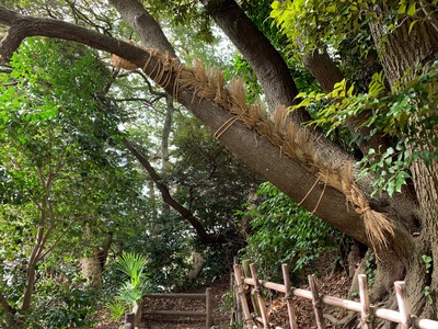IMG_7965_Original