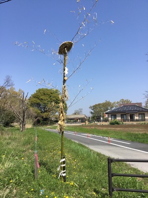 4FEE38C4-63EF-456C-B85E-7847650F1366