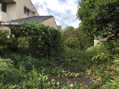 51AA912A-05DD-49C4-86B4-A4BE06C3B214