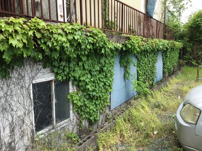 0F6160F4-2614-4156-BF2E-537724D4B693