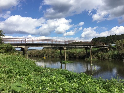 7316A42C-4515-417F-B32A-434D2EA030F9