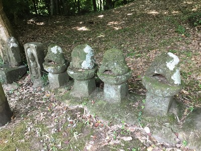 A4082CB1-4C23-47DE-84A9-25E4BE04946B