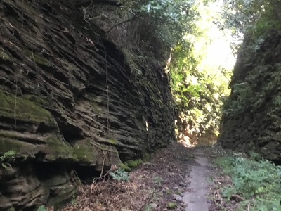 98224C93-56F3-4938-8FB9-977A68860644