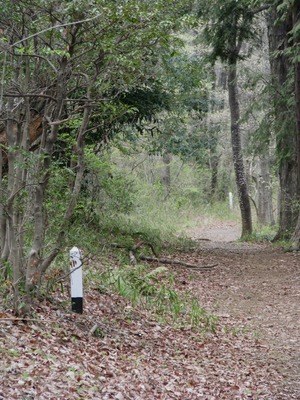 222F5EC0-E12B-4DEB-95A1-DEEDD5DA5926