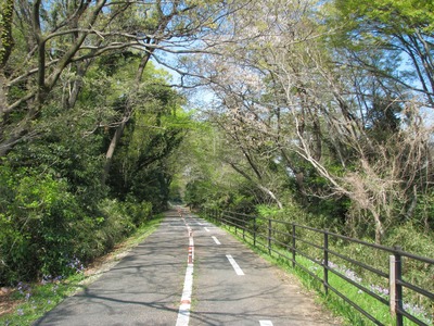 9B91656C-F0E1-459E-A9E2-095ACE0CD415