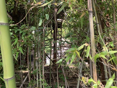IMG_2143_Original