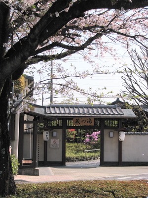 68C0F906-44D7-47C5-852D-8455310D67A1