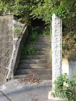 C7AFFE7C-0E0A-49C2-828E-7E10B1B73DF1