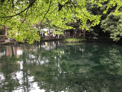 35517FF8-6F87-424E-8DD8-C18F7C2393E4