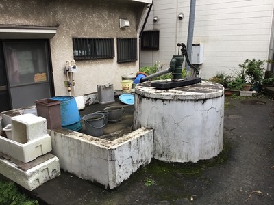 D550D5D3-061D-4EA4-8554-DF530F120042